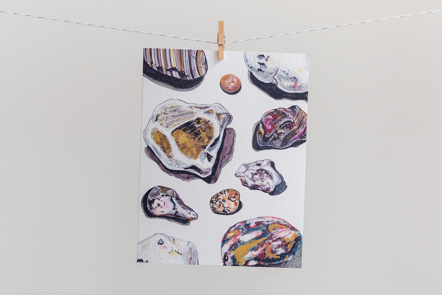 Rocks & Shells – Set of 4 Blank Cards