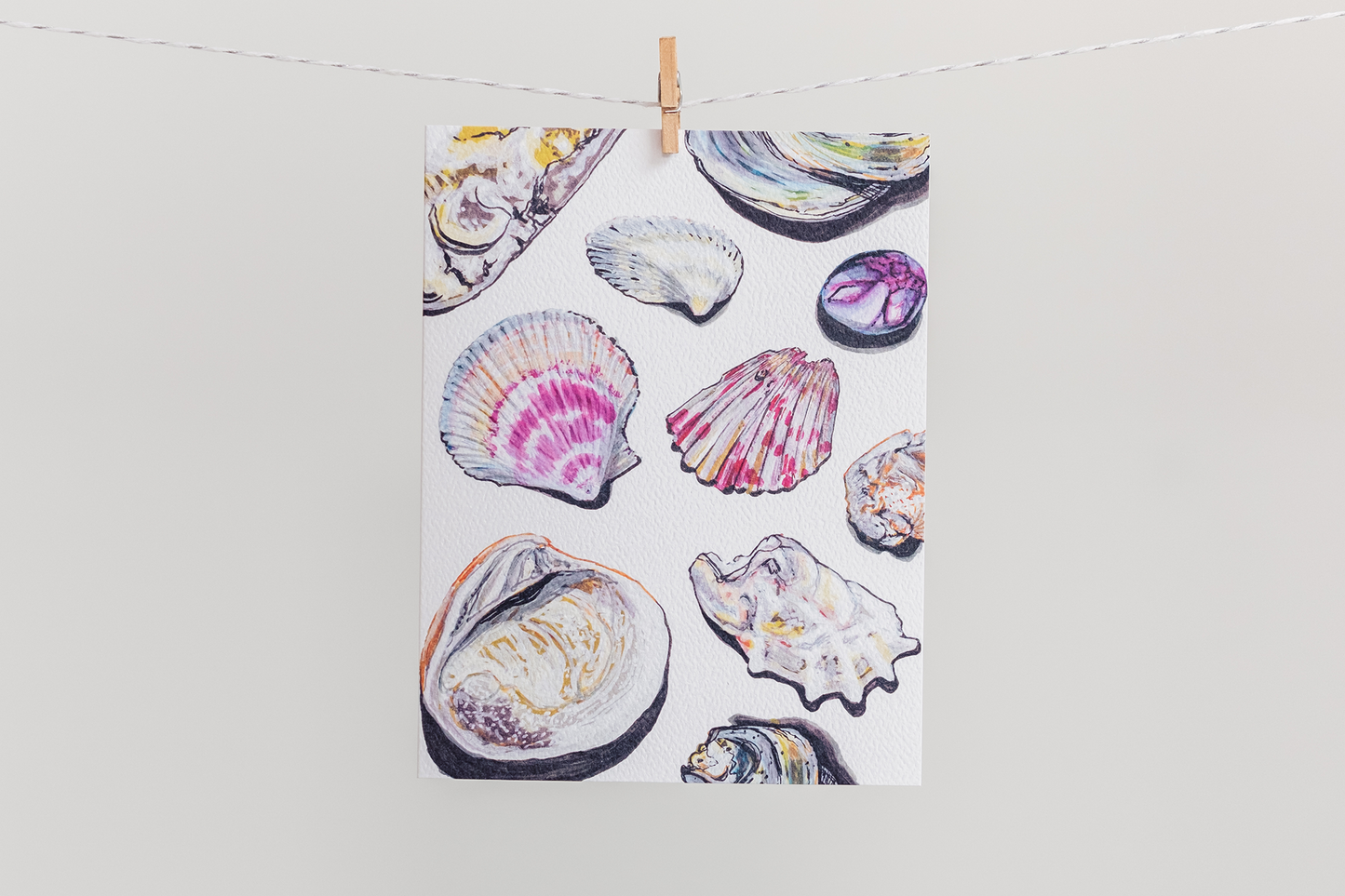 Rocks & Shells – Set of 4 Blank Cards