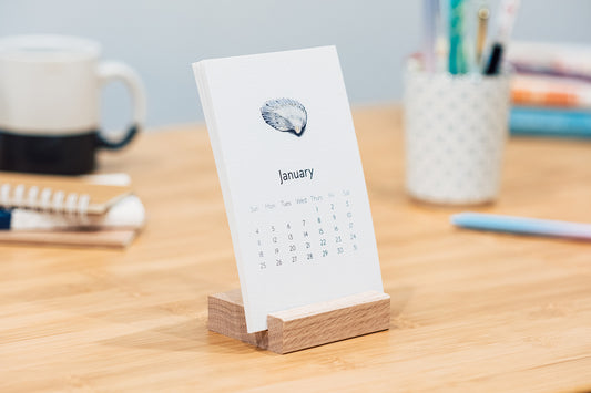 Rocks & Shells 2026 Monthly Desk Calendar with Wood Stand