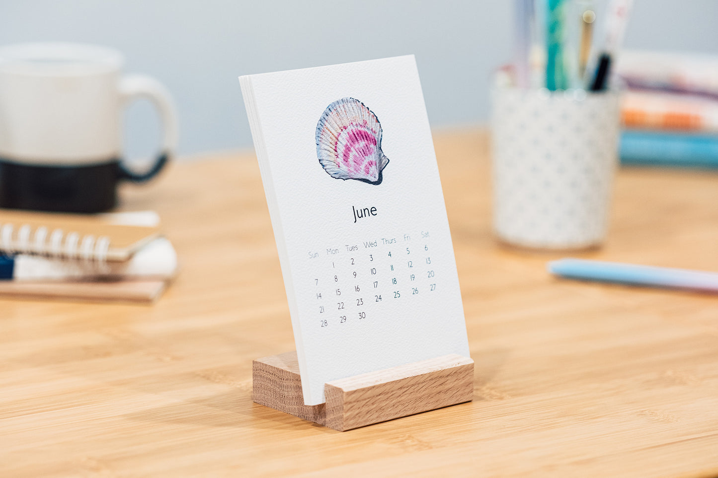 Rocks & Shells 2026 Monthly Desk Calendar with Wood Stand