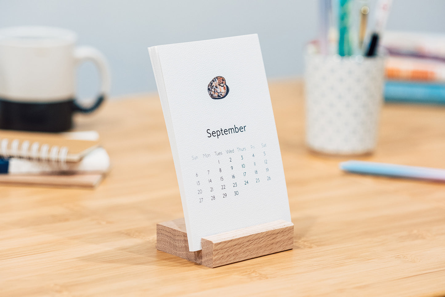 Rocks & Shells 2026 Monthly Desk Calendar with Wood Stand