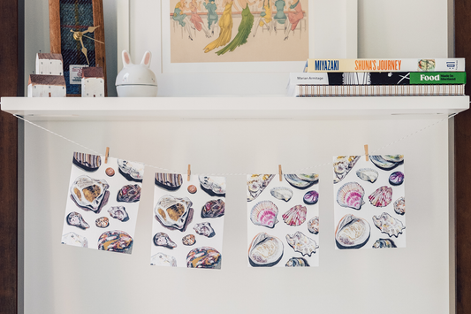 Rocks & Shells – Set of 4 Cards