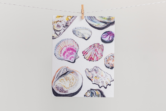 Rocks & Shells – Set of 4 Blank Cards